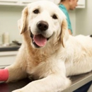 Moab Veterinary Clinic - Veterinarians