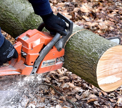 Sager Professional Tree Management - Middleton, ID