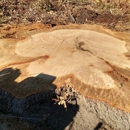 Affordable Stump Grinding - Stump Removal & Grinding