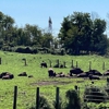 Readington River Buffalo Farm gallery