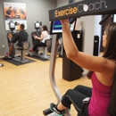 The Exercise Coach - Brielle - Personal Fitness Trainers