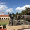 Texas A & M University-Kingsville gallery