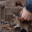 Enviro Care Pest Management Co - Pest Control Equipment & Supplies