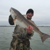 Corpus Christi Inshore Fishing Charters gallery