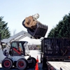 Cedar Rapids Tree Removal Services gallery