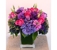 River Oaks Flower House, Inc. - Florists