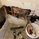 Experts Algoma Plumbing - Plumbers