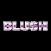 Blush Cleaning Services gallery