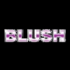 Blush Cleaning Services