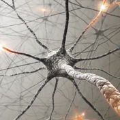 Gallery Image Number 1