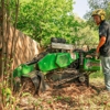Avondale Tree Service Masters gallery