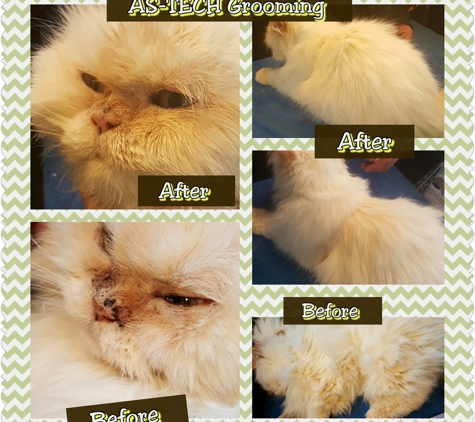 AS-Tech Grooming - Las Vegas, NV