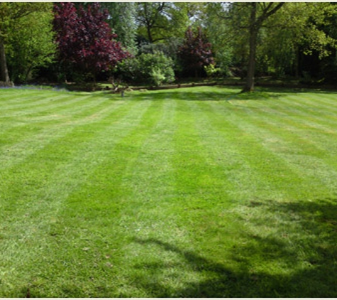 Cory's lawn care service - Bethlehem, PA