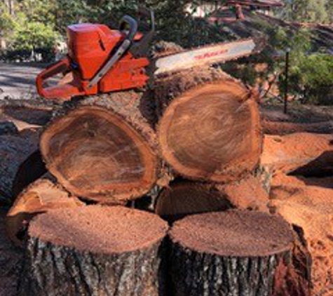 Brady Tree Service Pty Ltd - Kurrajong Heights, NSW