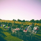 Holy Field Vineyard & Winery