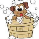 Classy K-9 Salon Dog Wash - Pet Grooming