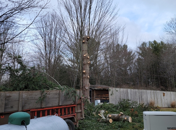 Affordable Tree Service - Sanford, MI