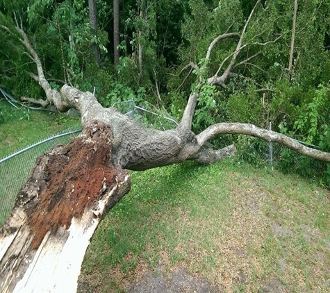 Shaw's Tree Service - Jacksonville, FL