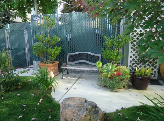 JERRE’S YARDS BEAUTIFUL/HANDYMAN SERVICE - Oakland, CA