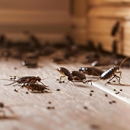 Holifield Pest Management Inc - Pest Control Equipment & Supplies