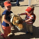 Auburn Art - Gift Shops