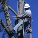United Tree Service Incorporated - Landscape Contractors