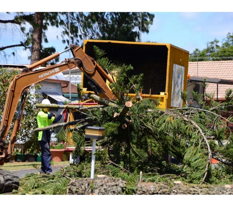 Treebiz Tree Services - Harlaxton, QLD