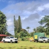 East Side Tree Services gallery