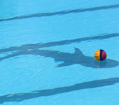 Sports Physiotherapy South. SPS Water Polo