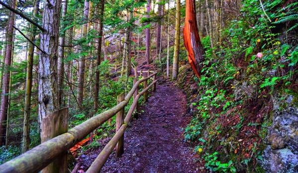 Fort Ebey State Park - Coupeville, WA