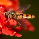 Mid State Termite & Pest Control - Pest Control Equipment & Supplies