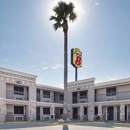 Super 8 by Wyndham McAllen/Downtown/La Plaza Mall - Hotels