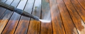 Four Seasons Tree Service - Tree Service