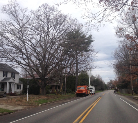 New View Tree Service - Blairsville, PA