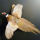 Advanced Taxidermy - Taxidermists