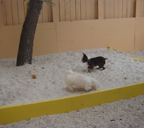 Rios Pet Spa and Boarding - Miami, FL
