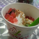 BerryVille's Frozen Yogurt - Yogurt