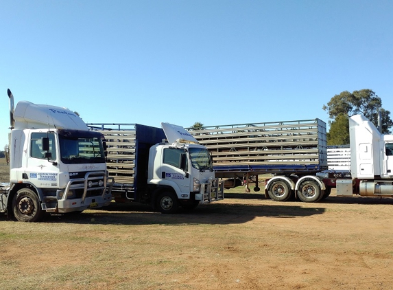 Andrew Poole Transport - Dubbo, NSW. Andrew Poole Livestock Transport