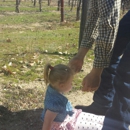 Riverstar Vineyards - Tourist Information & Attractions