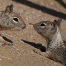 BAM Pest Control Services Inc. - Pest Control Equipment & Supplies