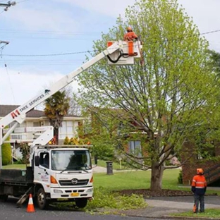 A1 Tree Specialists - Tarleton, TAS