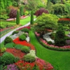 Absolutely Green gallery