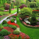 Absolutely Green - Lawn Maintenance