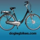 Dogleg Electric Bikes