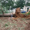 Ashley Collier Excavating gallery