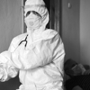 BRICO Pest Control gallery
