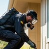 Honey Pest Control gallery