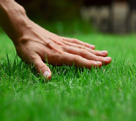 Mighty Green Lawn Care - Trussville, AL