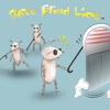 Three Blind Lice / In-Home Lice Removal Service gallery