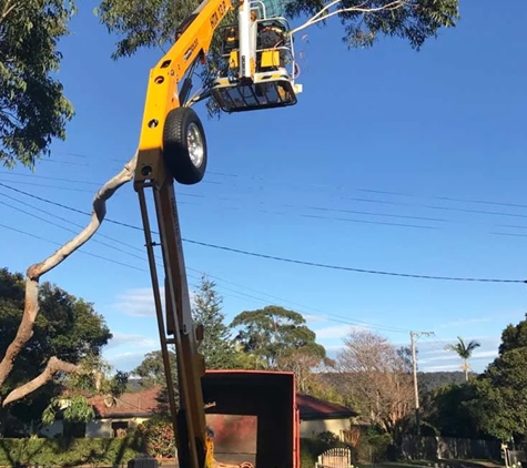 Central Coast Tree Removal - Kanwal, NSW